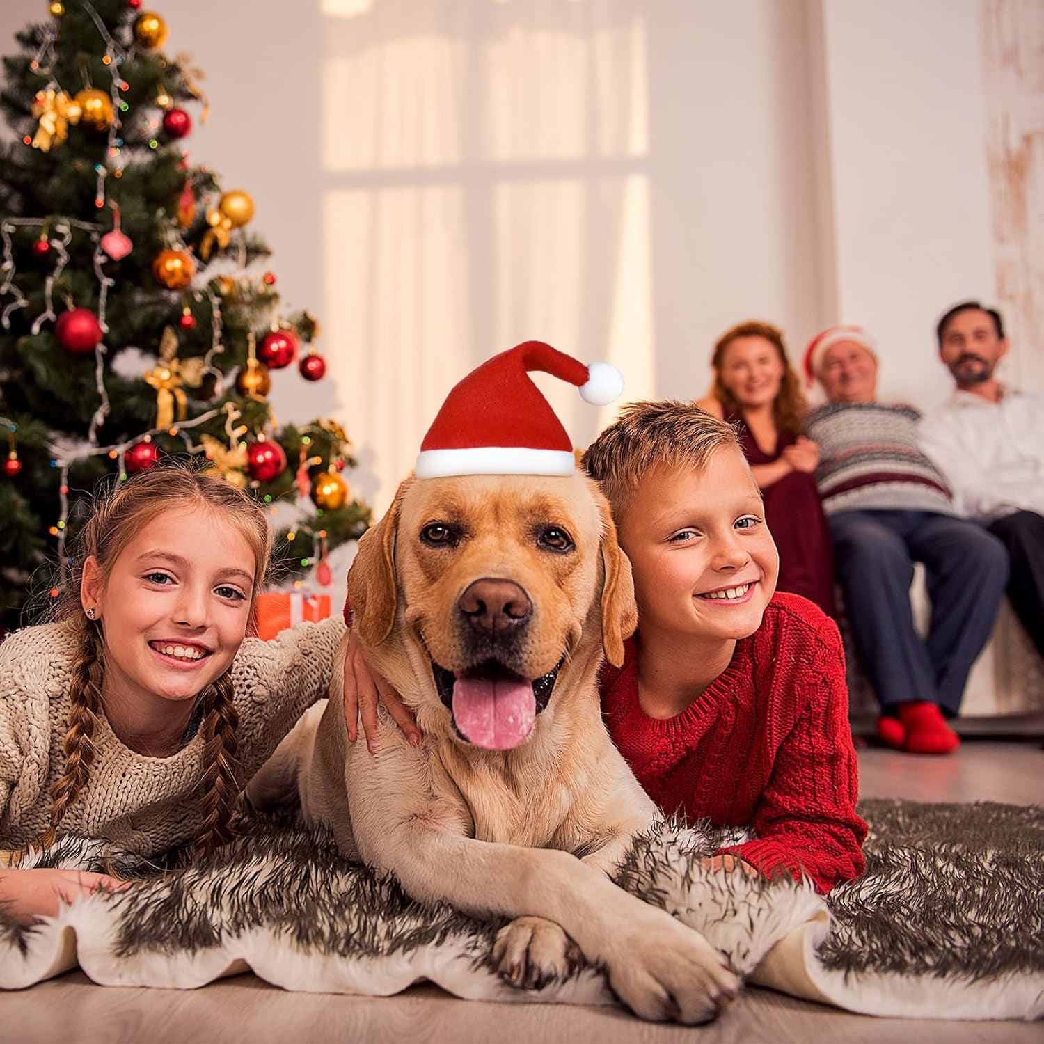 Dog Christmas Hats 4 Pieces Plaid Dog Santa Hats Small Animal Hats Pet Christmas Hats Cat and Dog Pet Costumes 5.5 X 7.8 Inch, 3.5 X 4.3 Inch (Red, Green,Classic Pattern)