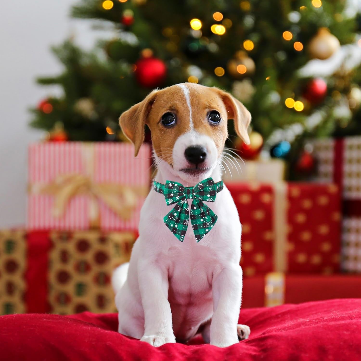 2 Pack Christmas Dog Collar with Bow Tie, Classic Plaid Red Green Dog Collars with Removable Bowtie Christmas Collars for Small Dogs Pets (Small)