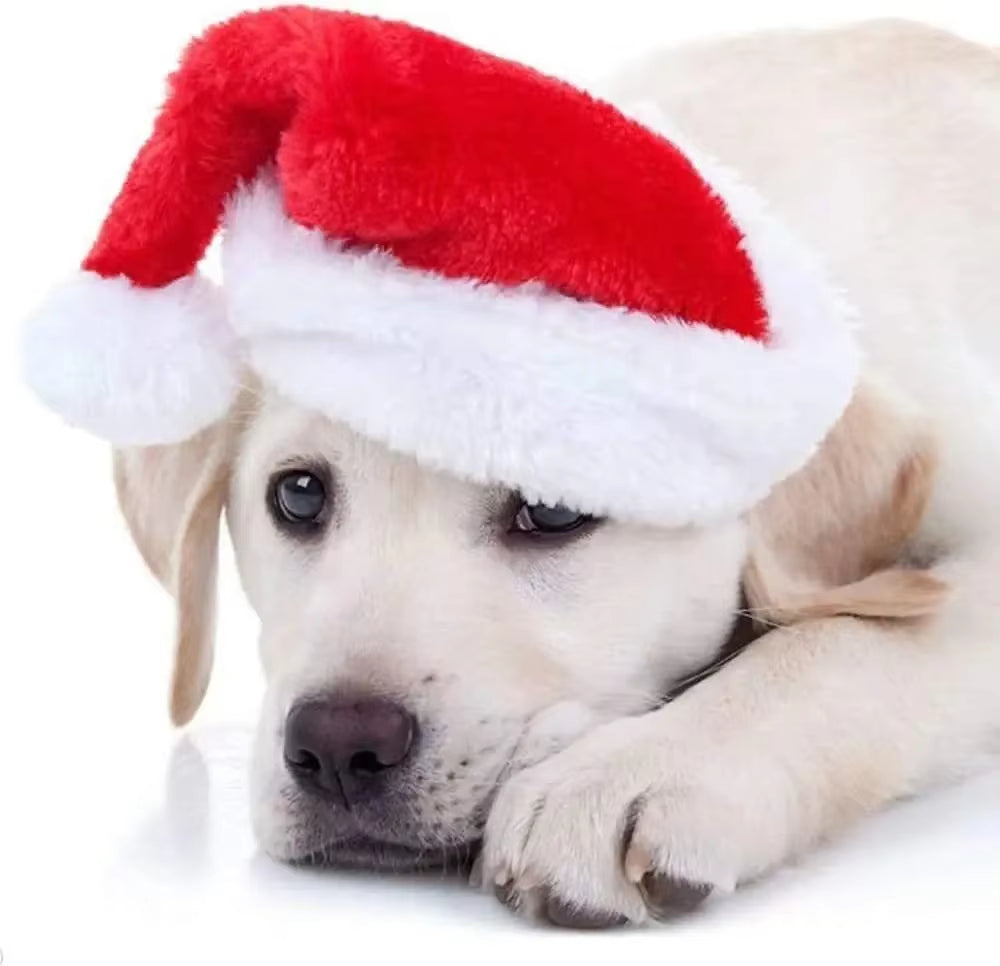 50PCS Christmas Pet Dog Cat Santa Hat Cosplay Hats Pet Costume Ornaments Christmas Party Pet Supplies Christmas Decorations