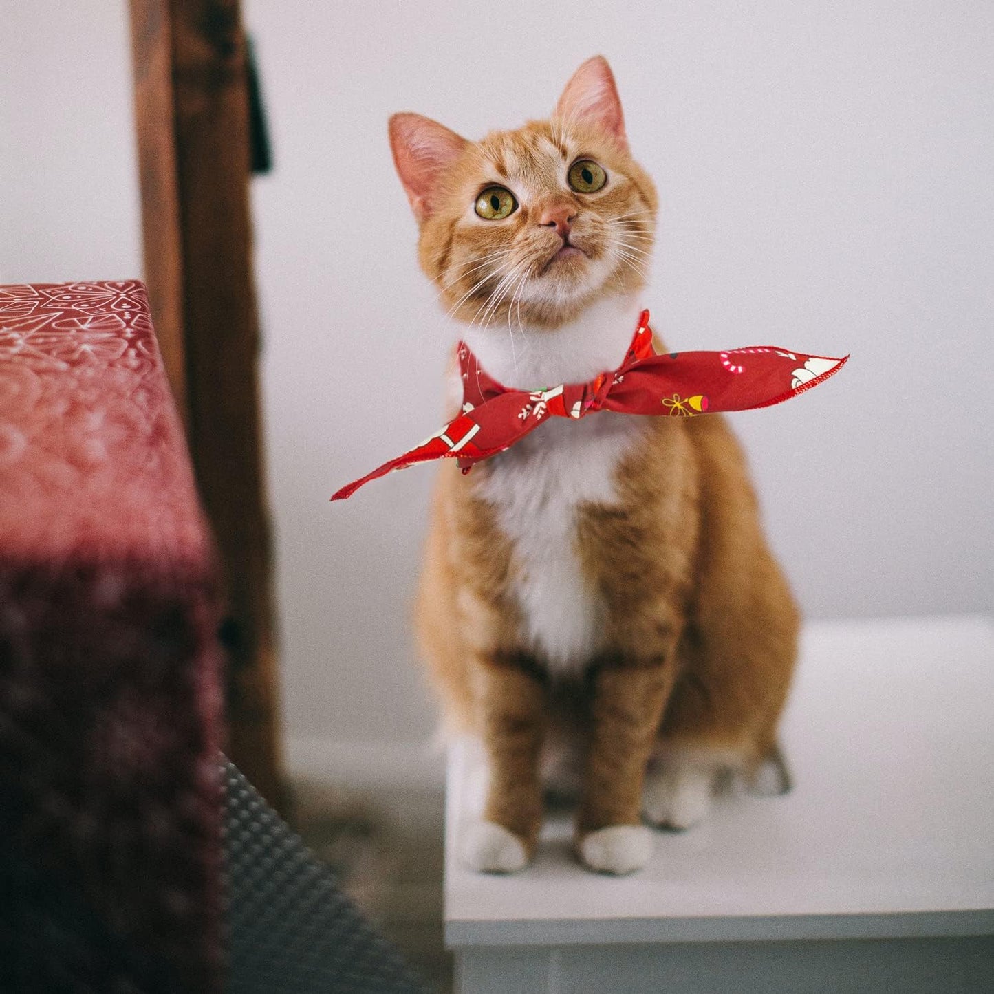 Merry Christmas Dog Bandana Pet Triangle Scarf- 2 Pack Dog Holiday Bandanas Bib Cat Bandana Christmas - Seasonal Dog Bandana Cotton Neckerchief, Ideal Gift for Pet Cat Kitten Dog Puppy Doggy