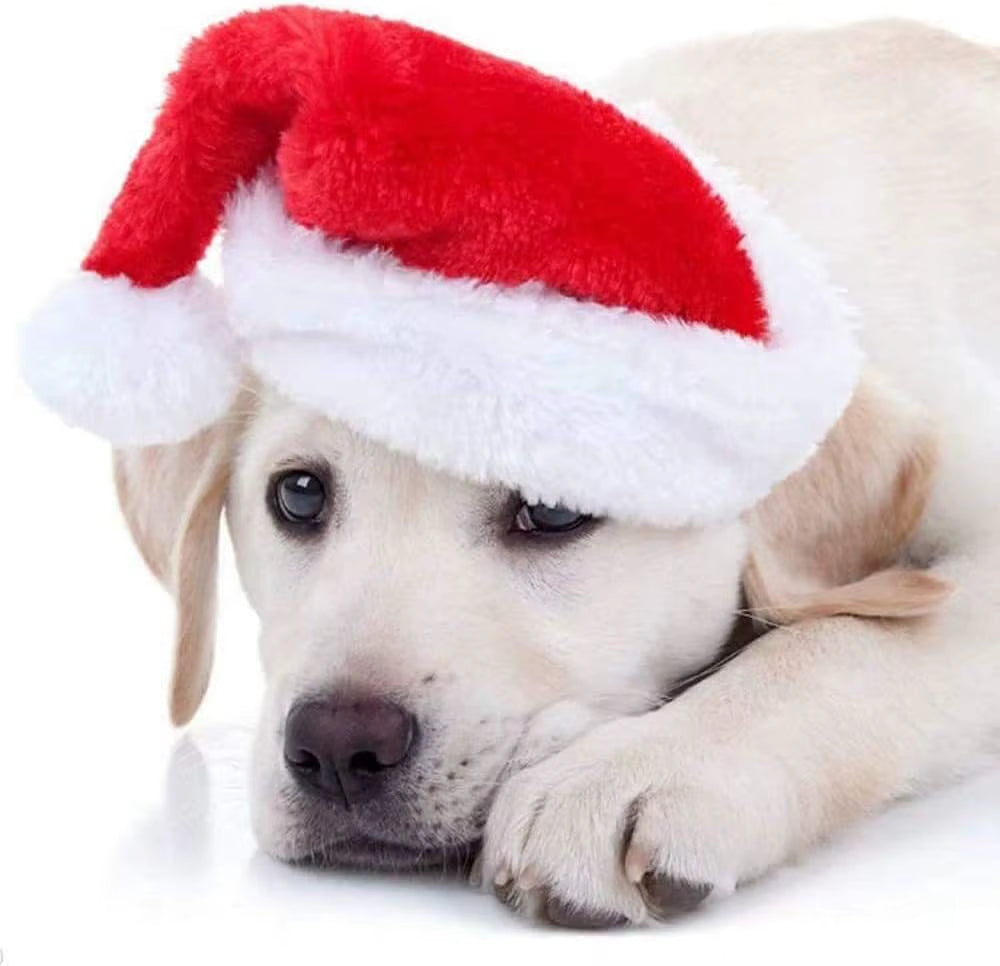Christmas Pet Cat Dog Santa Hat Pet Costume Ornaments Christmas Party Pet Supplies Cosplay Hat Christmas Decoration