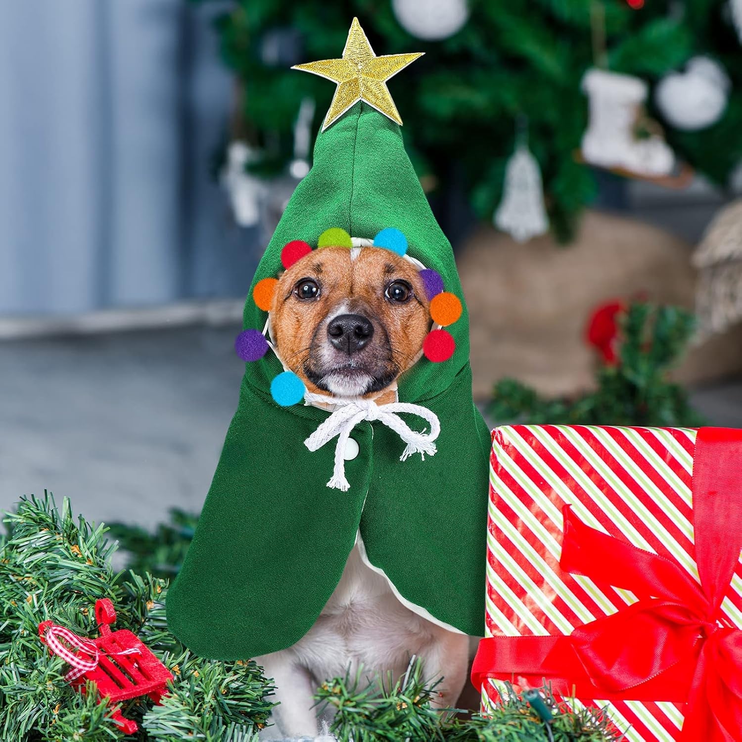 2 Pieces Christmas Cat Outfit Christmas Cat Dog Costume Christmas Pet Cape Puppy Xmas Cloak with Star and Pompoms Dog Santa Cape with Santa Hat Pet Clothes for Cats and Puppy (Medium)