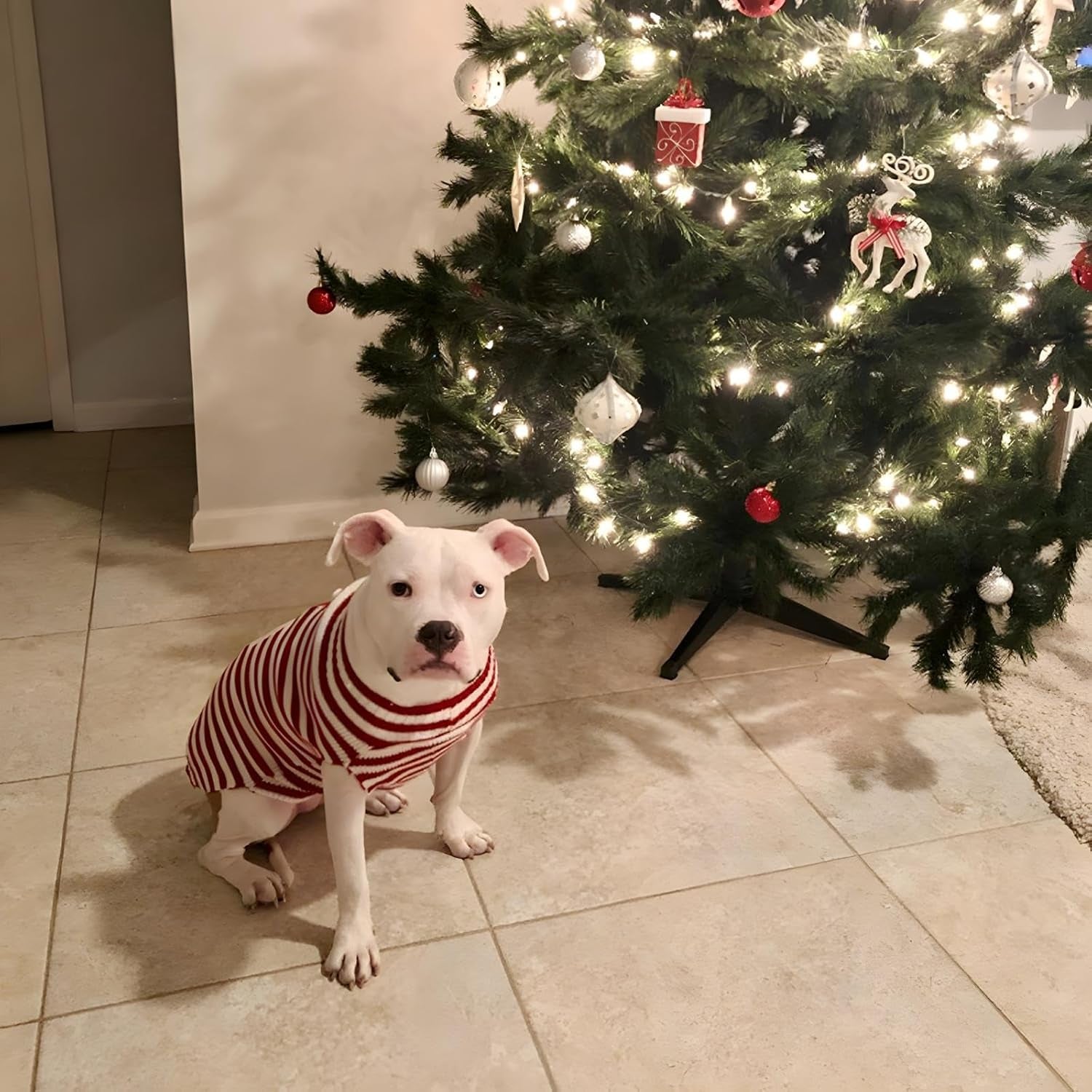 Santa Claus Pet Sweater Dog Sweaters Cold Weather Outfit for Small to Medium Sized Dogs and Cats for Christmas Day (Santa Claus, Small)