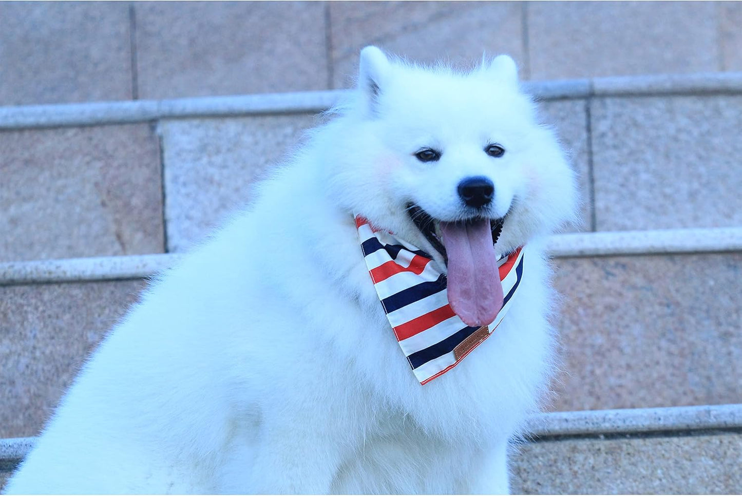 4Th of July Dog Bandanas 2 Pack, Reversible American Flag Pet Scarf for Boy and Girl, Premium Durable Fabric, Patriotic Bandana for Small and Medium Dogs (Small)
