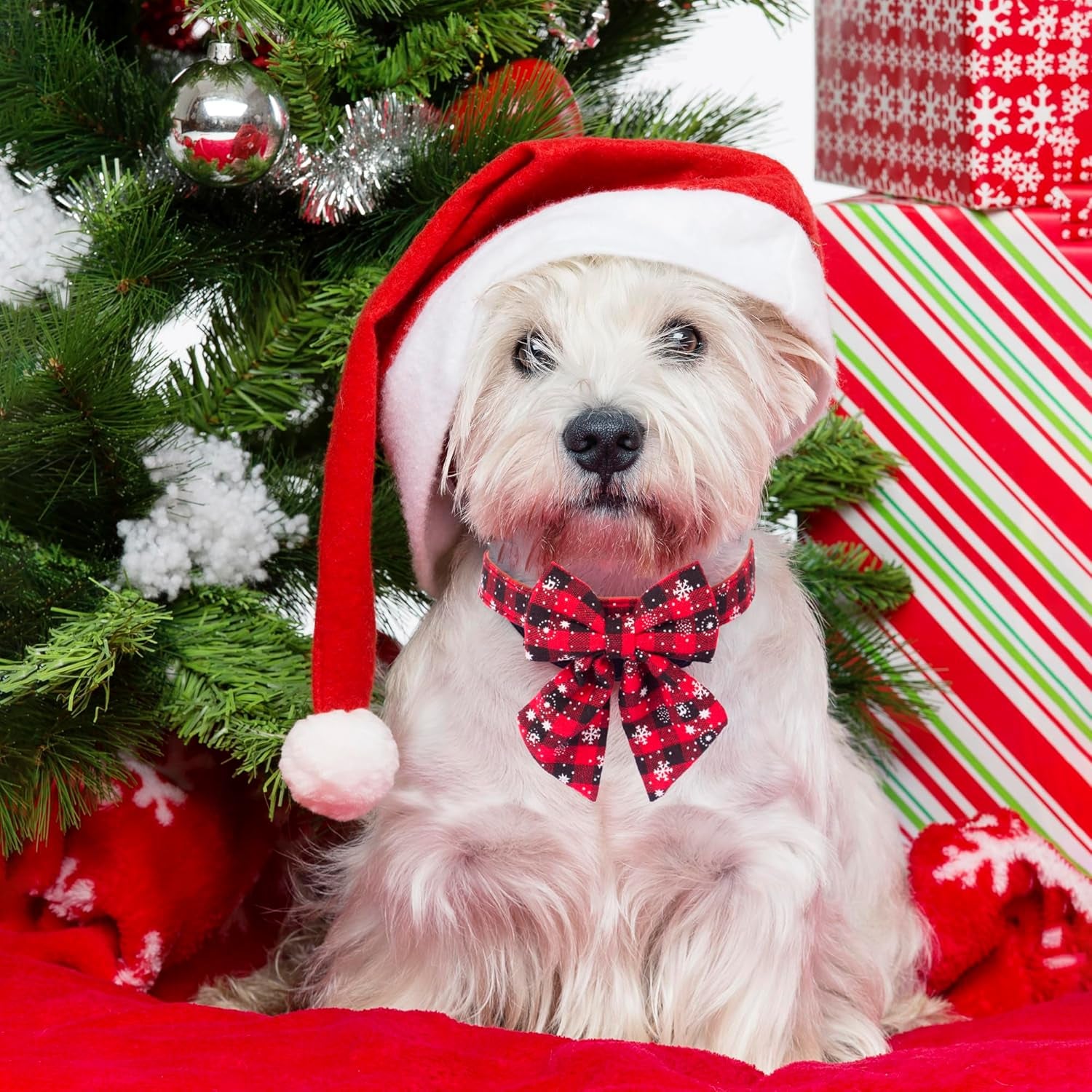 2 Pack Christmas Dog Collar with Bow Tie, Classic Plaid Red Green Dog Collars with Removable Bowtie Christmas Collars for Small Dogs Pets (Small)