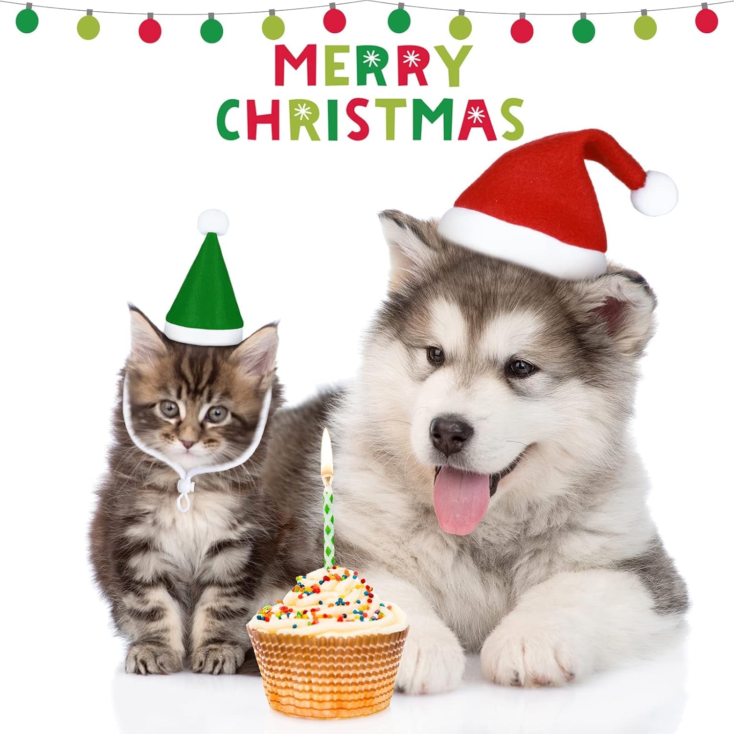 Dog Christmas Hats 4 Pieces Plaid Dog Santa Hats Small Animal Hats Pet Christmas Hats Cat and Dog Pet Costumes 5.5 X 7.8 Inch, 3.5 X 4.3 Inch (Red, Green,Classic Pattern)