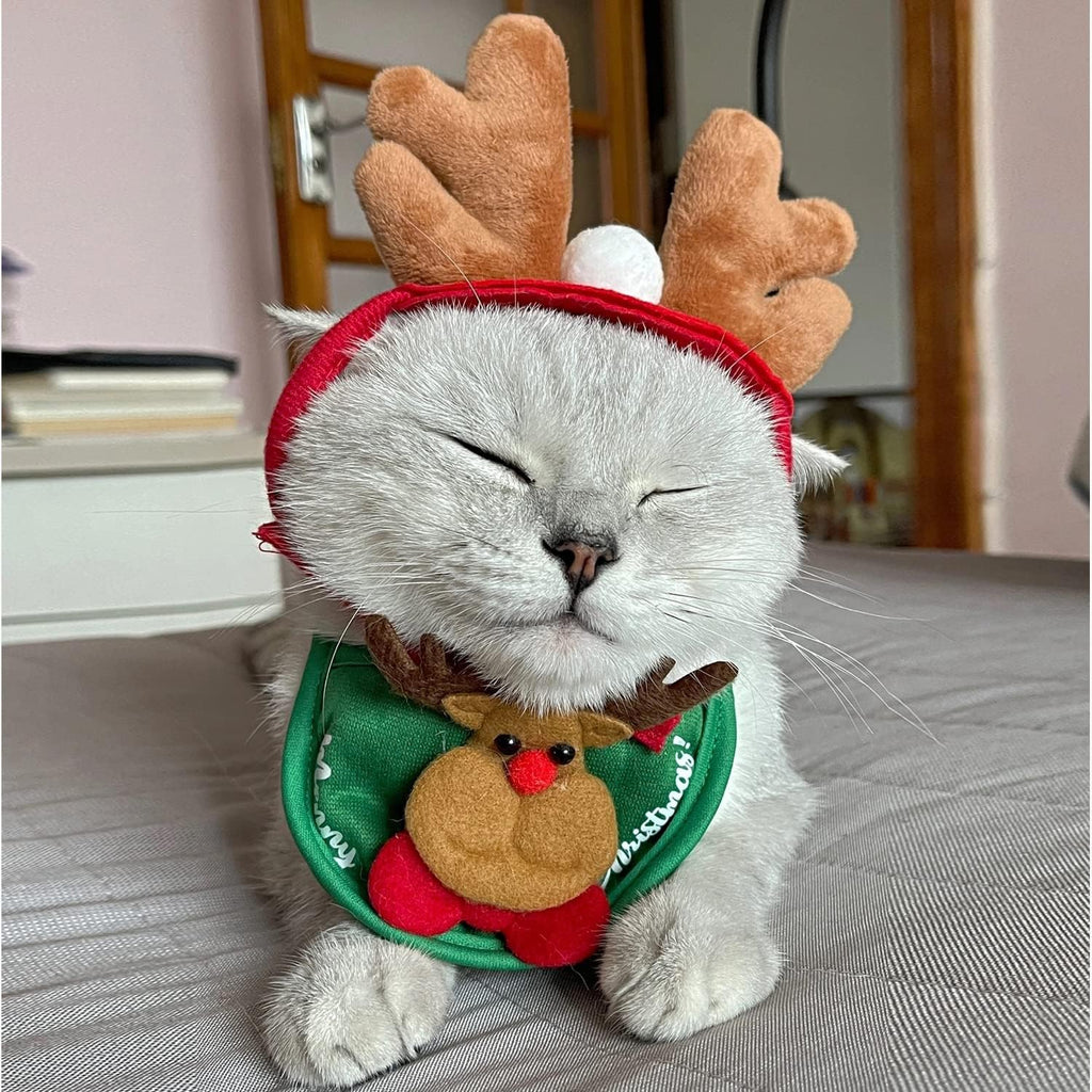 Pet Dog Cat Christmas Costume, Puppy Santa Hat and Bandana, Adjustable Christmas Party Cosplay Dress for Small Medium Dogs Cats (RED)