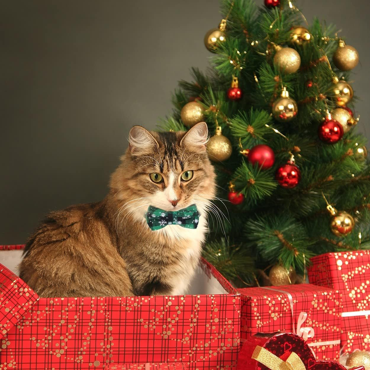 Christmas Plaid Pattern Cat Collars Breakaway with Removable Bell & Bowtie, Christmas Green